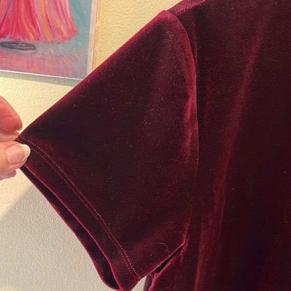 Abercrombie & Fitch   Velvet scoopneck Top short sleeves  deep maroon  Size S-M - Picture 8 of 12